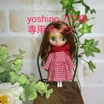 yoshino.777様専用ページです。他の方は、ご購入をお控えください。