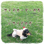 オプション【サイズ調整＆Lサイズ】の方専用カート♪