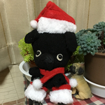 軍手deパグXmasバージョン