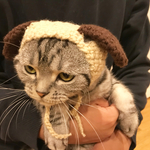 再販！なりきり垂れ耳わんちゃん