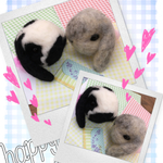 rapin様専用 うさぎさん羊毛フェルトストラップ