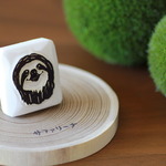 【再販】笑顔がかわいいナマケモノ
