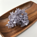  紫陽花 (ラベンダー) 1g