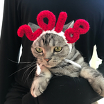 再販！猫用帽子 2018