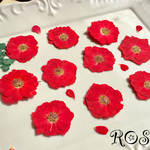 ロザミニ薔薇10枚