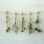 ナチュラル🌱ドライフラワーガーランド