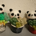 ＊nonnon  様　オーダー商品 　多肉植物×パンダちゃん3点＊