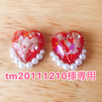 tm20111210 様専用