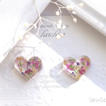 ドライフラワー ハートピアス / イヤリング