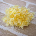 【単品】紫陽花プリザーブドフラワー「イエロー」