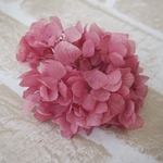 【単品】紫陽花プリザーブドフラワー「ひめブーゲンビリア」