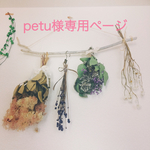 ▼▽ petu様専用ページ ▽▼