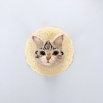 羊毛フェルト  猫ブローチ  アメショー