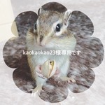 kaokaokao23様　☆オーダーリクエスト☆