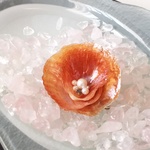 ☆送料無料☆キラキラ貝がらのお花を胸元に
