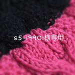 s5-19901様専用