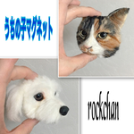 rockchan♪ うちの子マグネット   オーダー