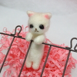 見つめるねこ