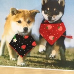 【再4】犬用リバーシブルバンダナ❤️イチゴ(中〜小)