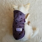 (再再再販) 残りわずか(≧ω≦)  犬服  小型犬用   タンクトップ  パーカー  パープルドット  SSサイズ or Sサイズ