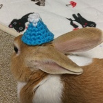 小動物用頭乗せ富士山🗻