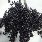 送料込☆ペッパーベリー 黒 ペイント
