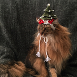 クリスマスツリー