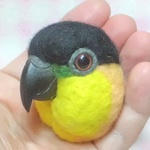 ３Ｄインコ顔だけマグネット ☆ ズグロシロハラインコ☆　羊毛インコ(中型インコ）