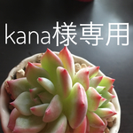 kana様 専用 オーダー ミニスワッグ