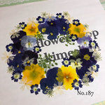 ♡new♡ 送料無料！¥1020 ♡押し花セット♡