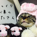 【レビューキャンペーン中♪】一点物＊ぷっくり♡お鼻のこぶたさん＊