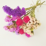 ドライフラワースワッグ♡(ブーケ)