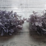 紫陽花 プリザーブドフラワー ラベンダー