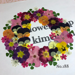 ♡new♡ 送料無料！¥1090 ♡押し花セット♡