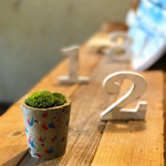 ♡コンクリート鉢苔盆栽♡