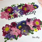 ♡new♡ 送料無料！¥980 ♡押し花セット♡