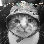 サイズ確認用チップ(送料無料)