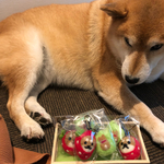 しばいちご🍓おまけつき