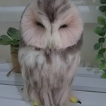 送料込み羊毛フェルト眠りフクロウ