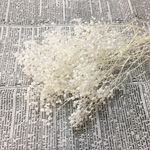 ソフトミニかすみ草×ホワイト