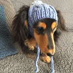 17AW#18 犬用ニット帽
