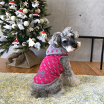  L＊schnauzer パーカー