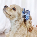 【再販】犬用  シュシュ プロヴァンス