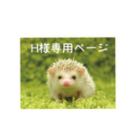 H様専用ページ