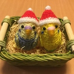 インコちゃん用サンタぼうし
