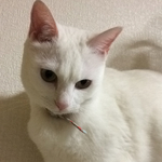 mさま専用オーダーページ