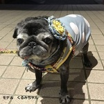 手編みのコサージュ