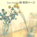 km-mocha様 専用ページ
