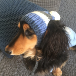 17AW#23 犬用ニット帽