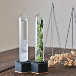 Flowertube➕Stormglass  G